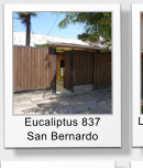 Eucaliptus 837 San Bernardo